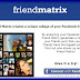 Friends Matrix Facebook