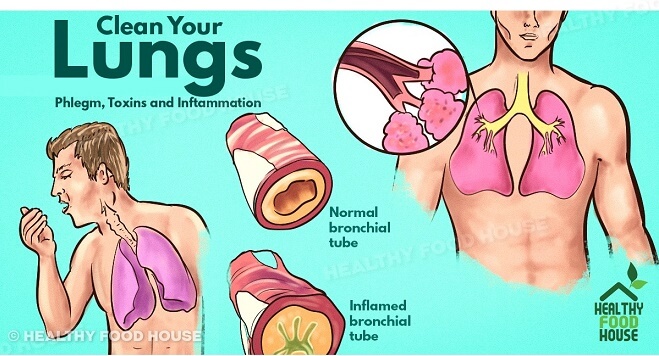 How To Instantly Get Rid Of Phlegm And Mucus In Chest And Throat How To Instantly Get Rid Of Phlegm And Mucus In Chest And Throat