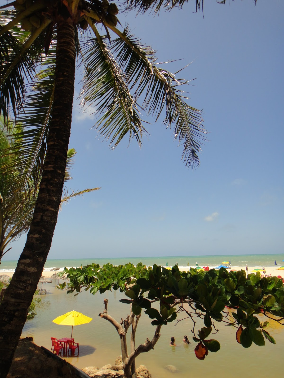 Doce Lar: Viagem ao Nordeste - de João Pessoa a Maceió de carro ...