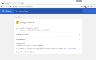 Update the Google Chrome browser for the latest version always