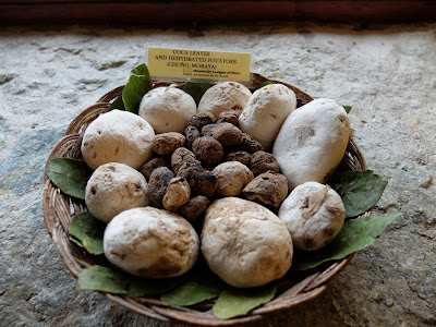 Example of Dehydrated Potatoes at Wayra Lodge
