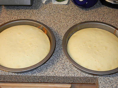 cake batter in two round cake pans 
