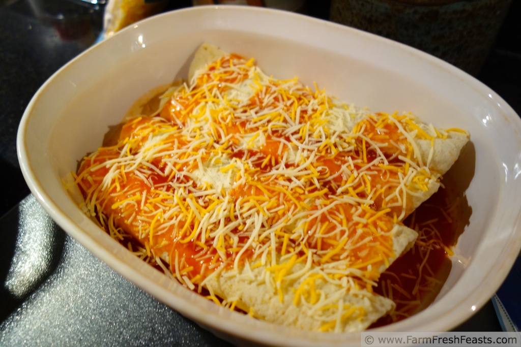 Farm Fresh Feasts ZucchiniRefried BeanCorn Enchiladas (cooking from