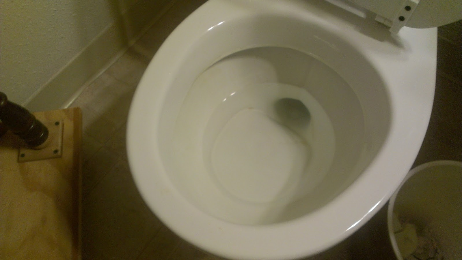 Daily Vitamin B: Scrub out Toilet Bowl Stains