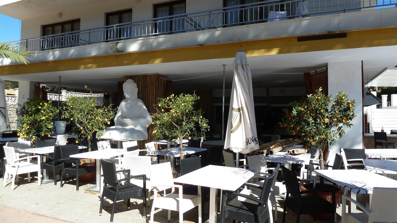 Überwintern auf Mallorca Neues von der Avenida Cala Guya