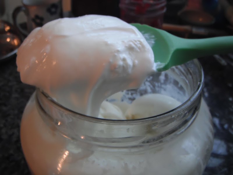 Wild Roots Homestead: Make Thick Yogurt