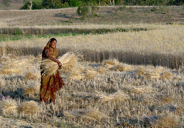 List of Agriculture Related Days in India (Agriculture in India) List of Agriculture Related Days in India (Agriculture in India)