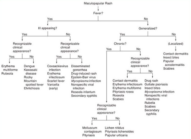 diffuse erythematous rash