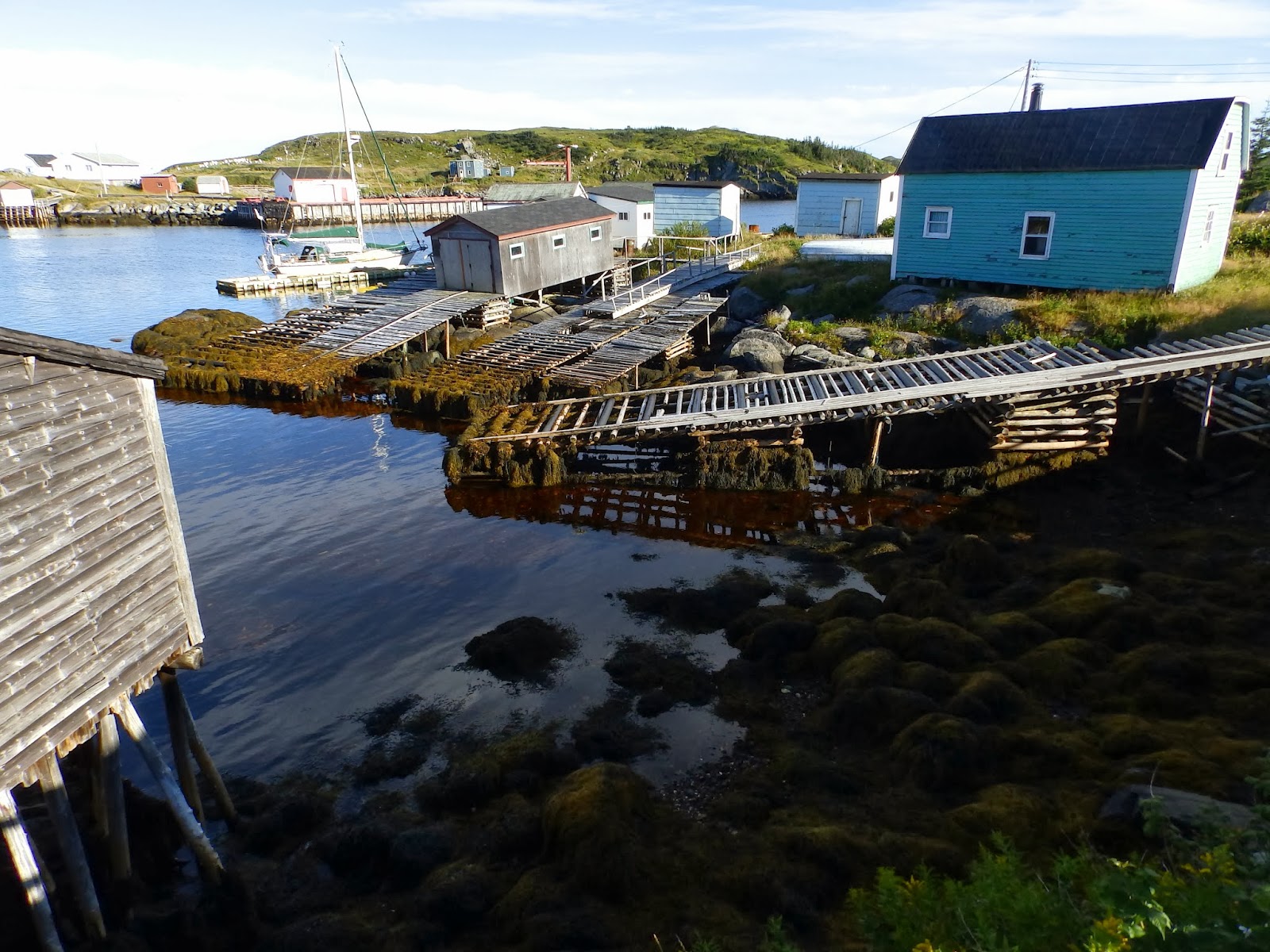 Northern Exposure 2013 Grand Bruit, Southwest Newfoundland