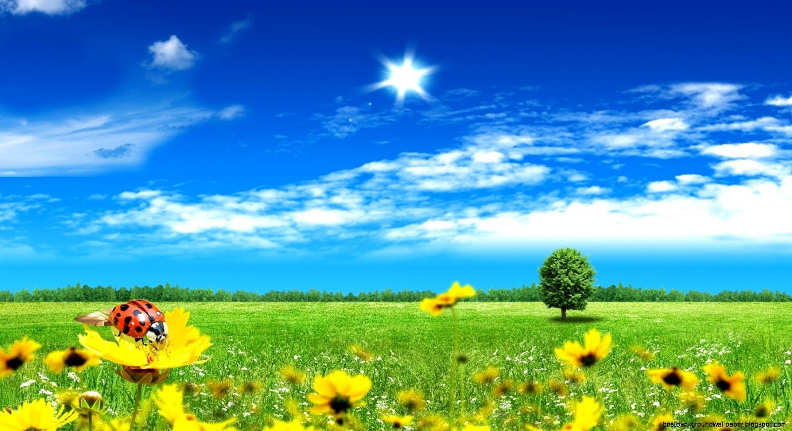 Spring Backgrounds Hd