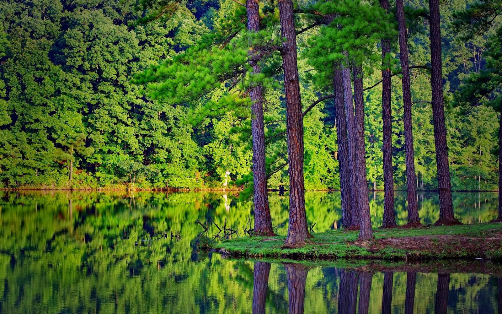 Banjosa Lake, Rawalakot, Pakistan-5 Best Places To Discover In Pakistan Banjosa Lake, Rawalakot, Pakistan 5 Best Places To Discover In Pakistan