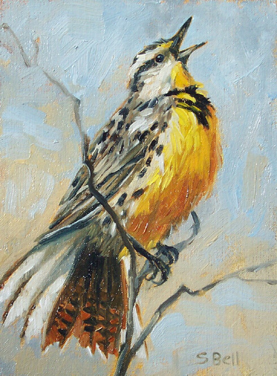 Wildlife Art International: "Western Meadowlark' Original Oil Bird