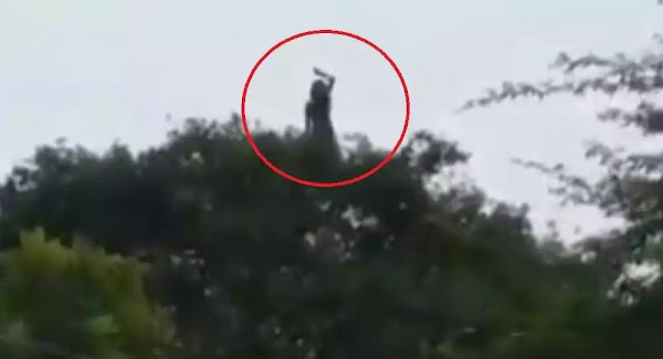 Παράξενη γυναικεία φιγούρα θρηνεί στην κορφή δέντρου - Βίντεο Παράξενη γυναικεία φιγούρα θρηνεί στην κορφή δέντρου - Βίντεο