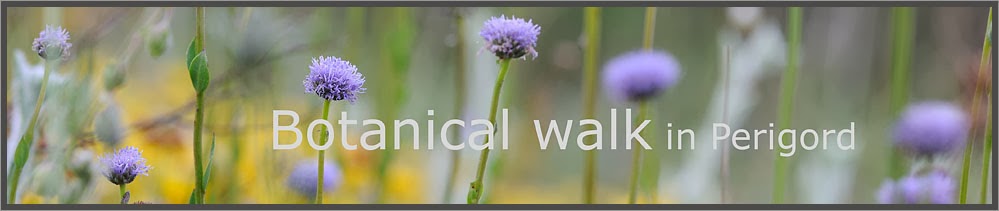 botanical walk
