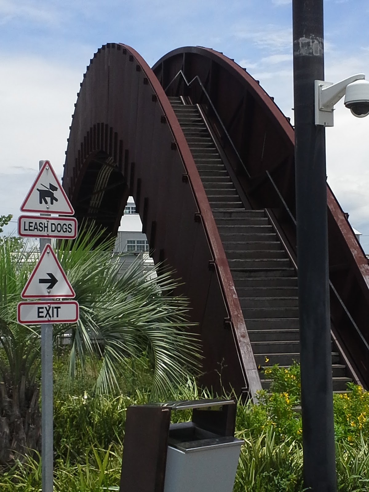 Petit Pet Care Pet Sitting and Dog Walking New Orleans Blog NOLA Dog Parks Part 2 The