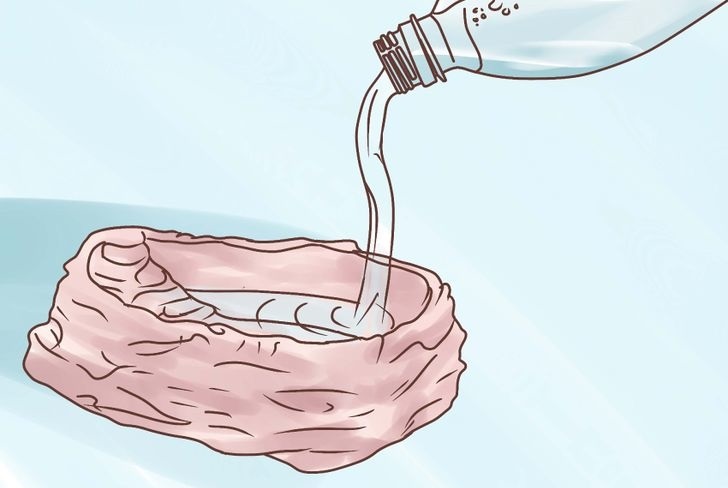 apakah jangkrik butuh air minum, air apa yang bagus untuk pertumbuhan jangkrik