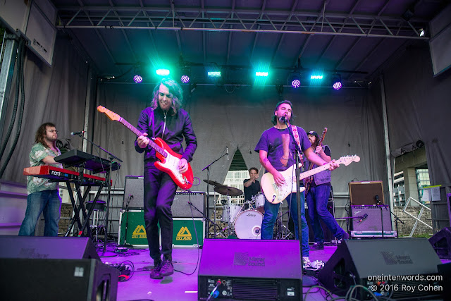 Adam Baldwin at The Toronto Urban Roots Festival TURF Fort York Garrison Common September 18, 2016 Photo by Roy Cohen for  One In Ten Words oneintenwords.com toronto indie alternative live music blog concert photography pictures