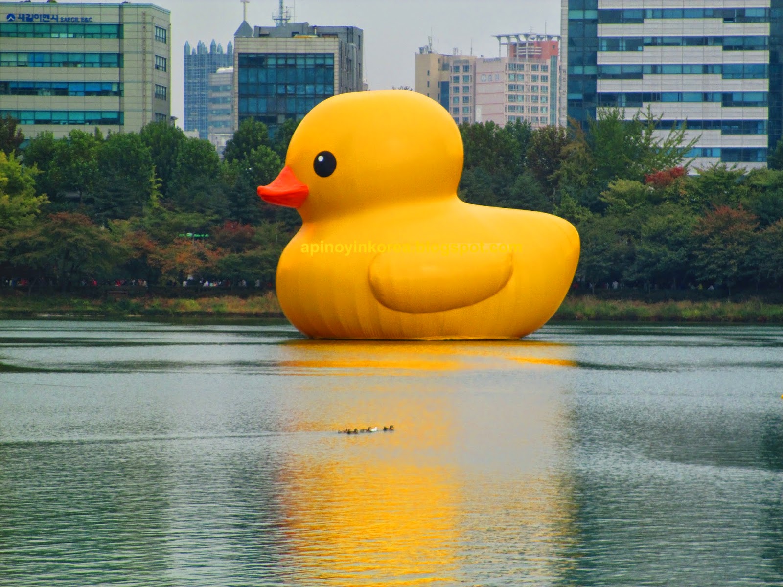 A Pinoy in Korea A Yellow Rubber Duck On Seoul's Seokchon Lake