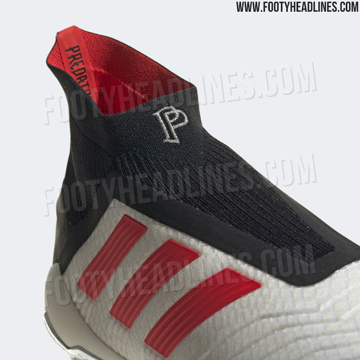 white predators 2019