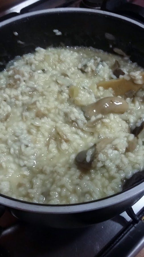 Risotto de setas
