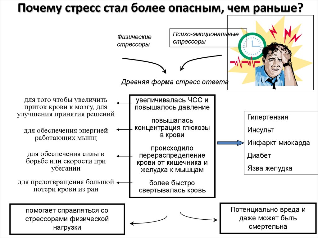 Причины возникновения стрессов и их влияние на жизнь учащихся проект
