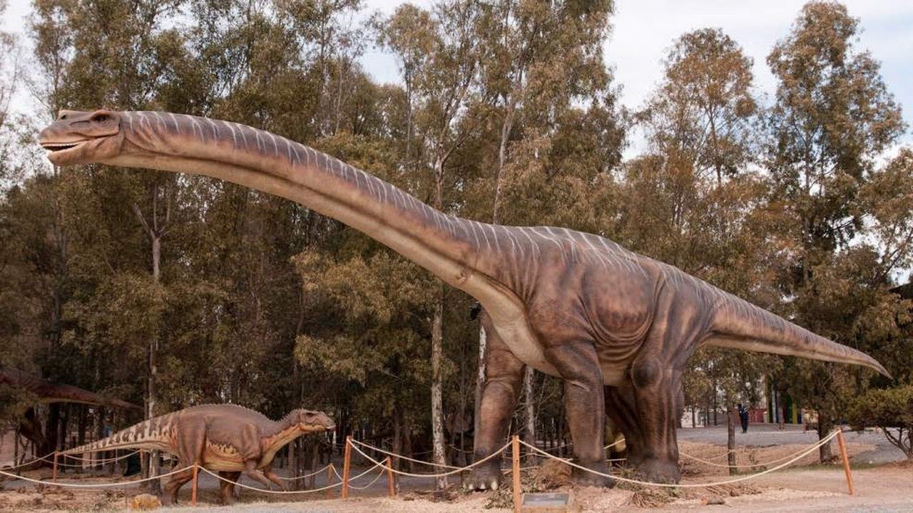 Pedagógiccos: Curiosidades: Qual é o dinossauro mais alto?