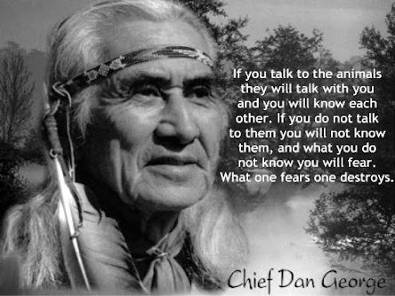 Bards and Tales: Native American Sages
