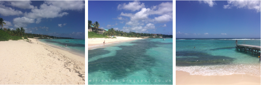 beach, Caribbean, Grand Cayman, holiday, lifestyle, travel, turtles, Spotts Beach