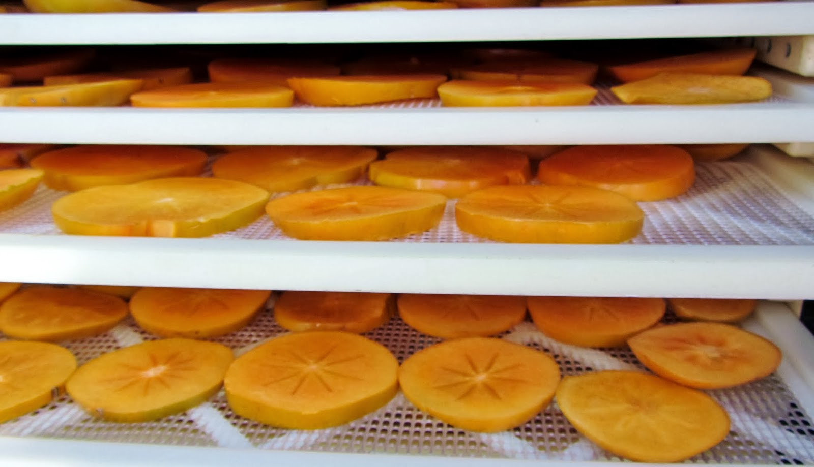 Let's eat......simple! Dried Fuyu Persimmon