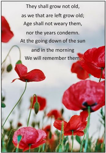 "I am extremely grateful for what the Australians did. It would have