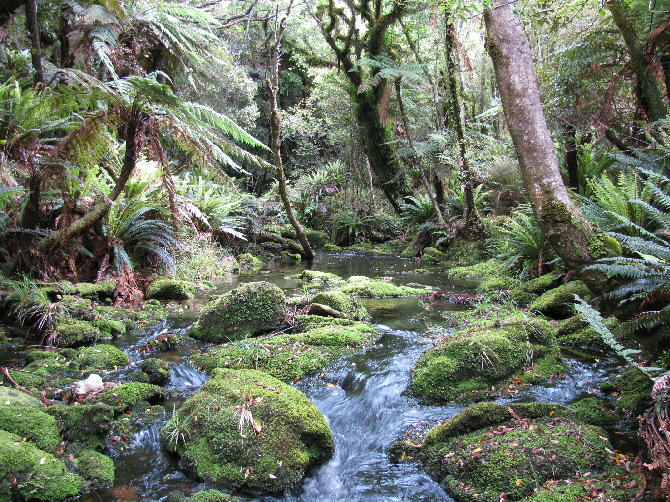 SY Sophia Stewart Island part 7, dinghy expeditions