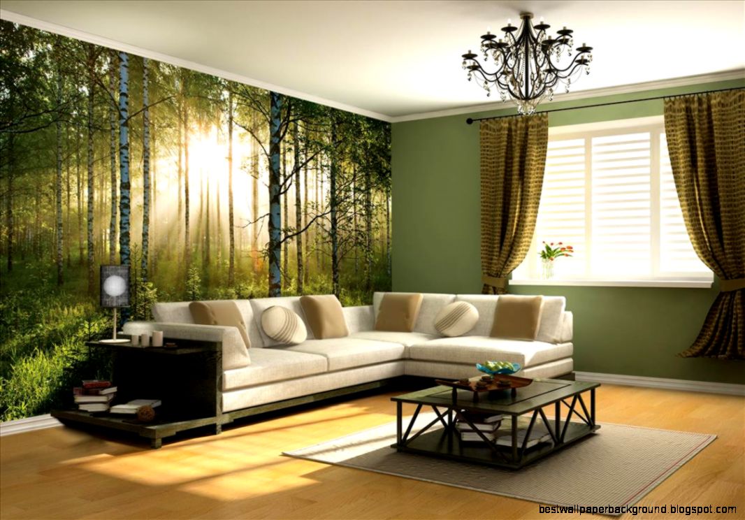 Wall Murals  Wallpaper Murals  1Wall