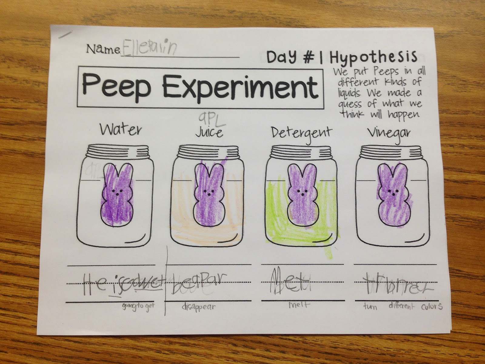 Mrs. Key's Kindergarten Class: Our PEEP Experiment!!