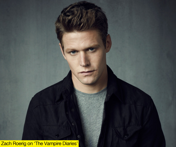 Ashbuzz ‘vampire Diaries Star Zach Roerig Seeks Sole Custody Of Daughter 2