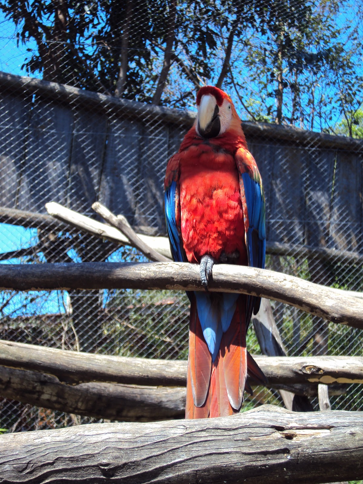 Zoo de Gramado