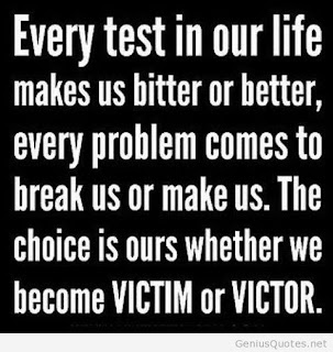 Think Before You Meme - Choose to Be Victors - Be This Guy - Proper Use of a Meme - The Sometimes Serious Blog http://www.sometimes-serious.com/2016/10/please-for-love-of-our-nation-think.html