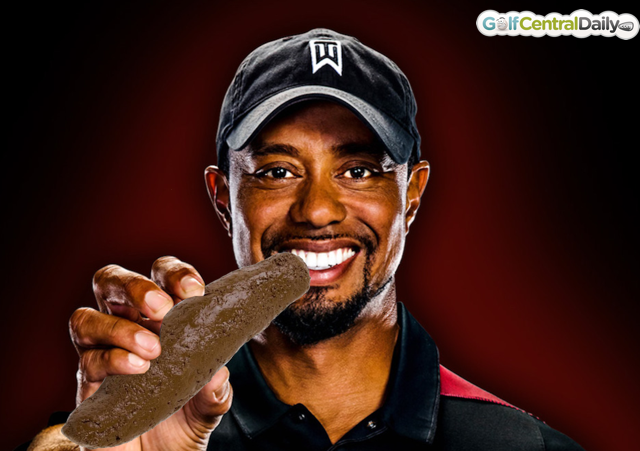 Tiger Woods Funny Pic