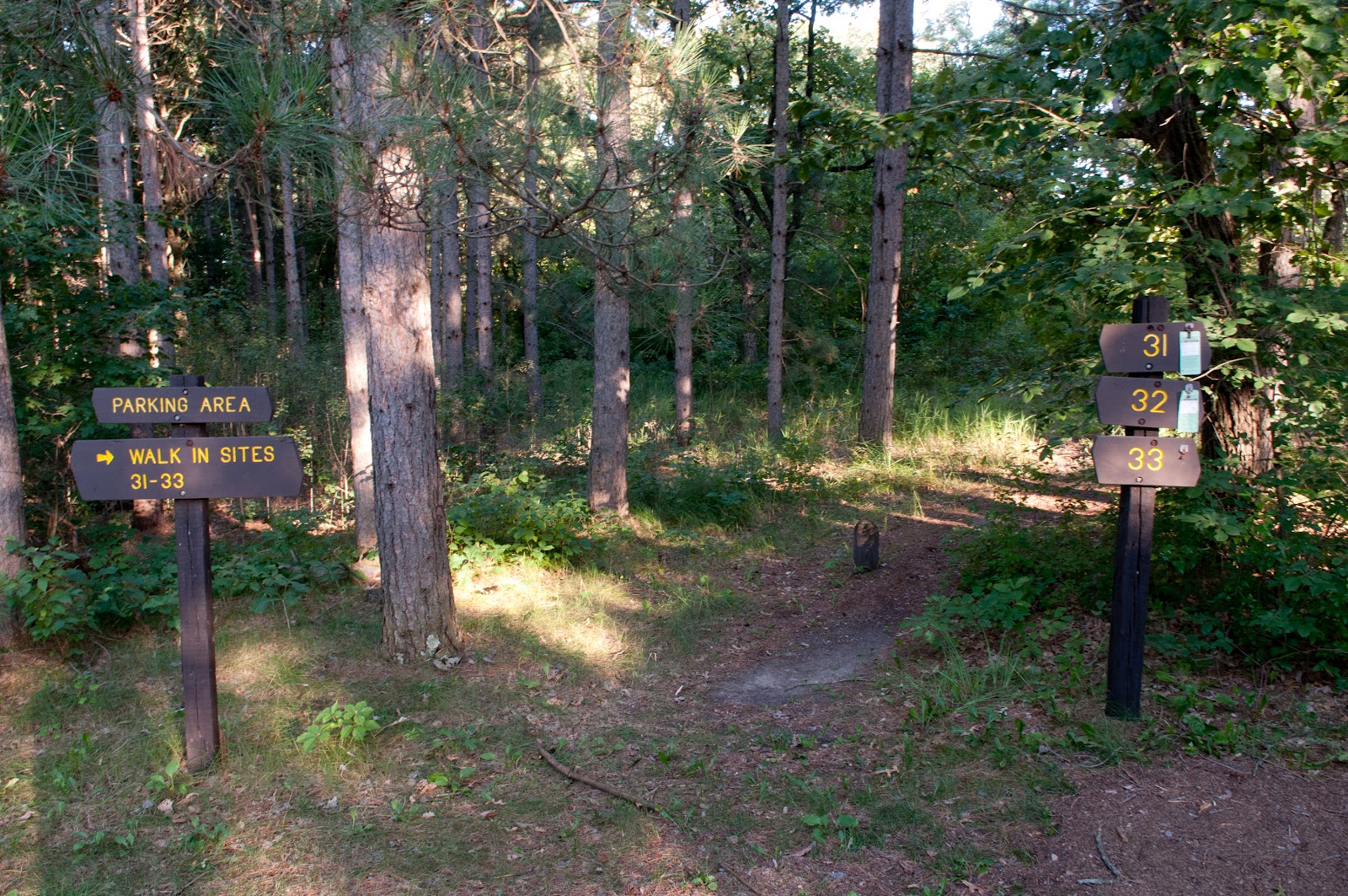 Sand Dunes State Forest