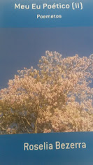 Meu eu Poético (II)