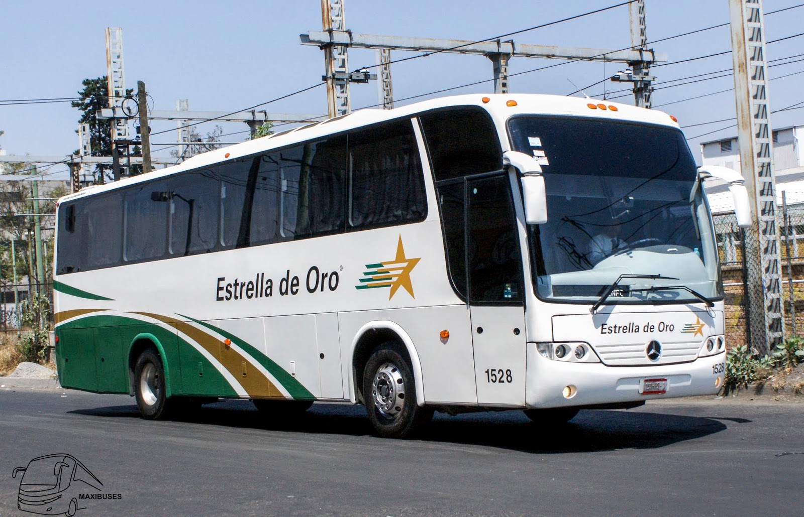 MAXIBUSES ESTRELLA DE ORO MAXIBUSES ESTRELLA DE ORO