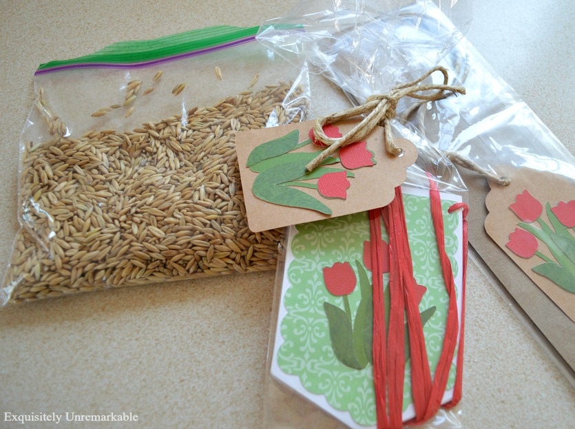 Tulip Gift Tags 