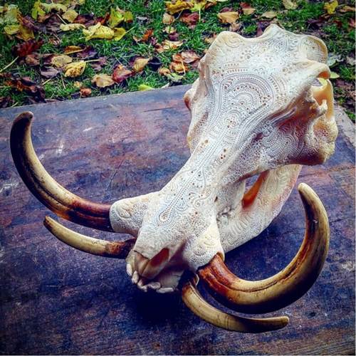 Bad To The Bone: The "Tattooed" Skulls of Jason Borders