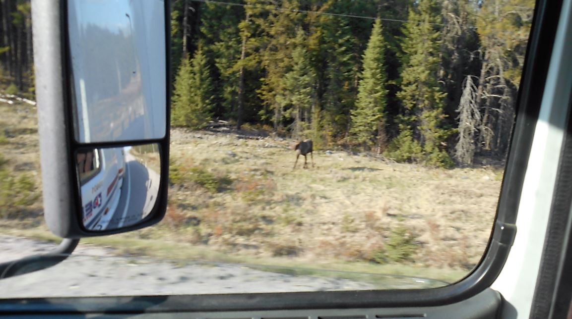 roadtrip chris arbon Trumansburg, New York.