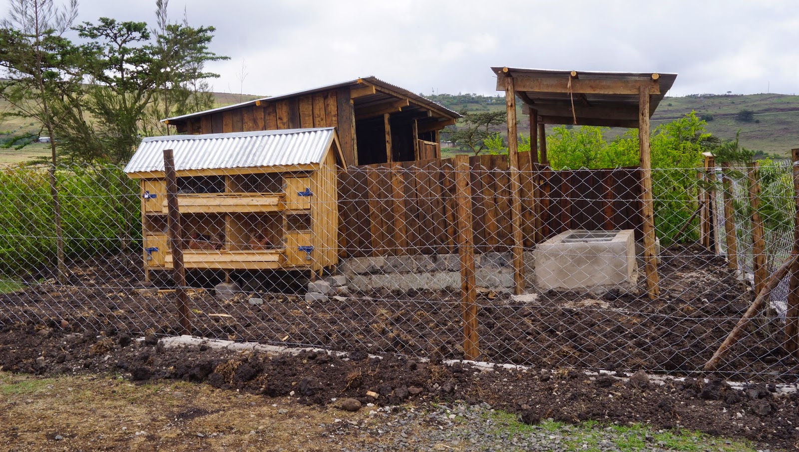 avaliable cow shed designs in kenya dans