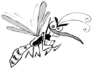 Desenhos da dengue para imprimir e colorir