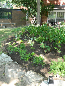 York Mills St. Andrews Toronto front garden renovation after by Paul Jung Gardening Services