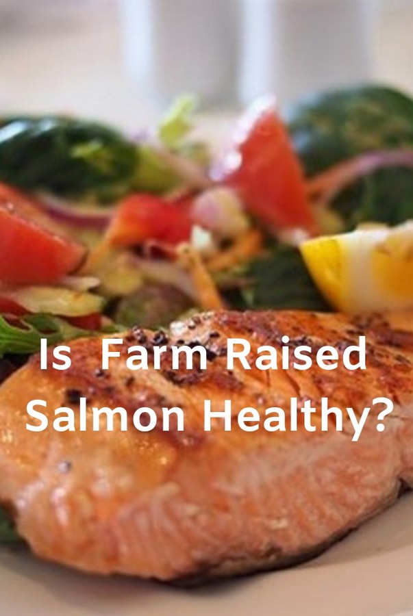 Healthy Food & Life Is Wild Caught Salmon Healthier than Farm Raised