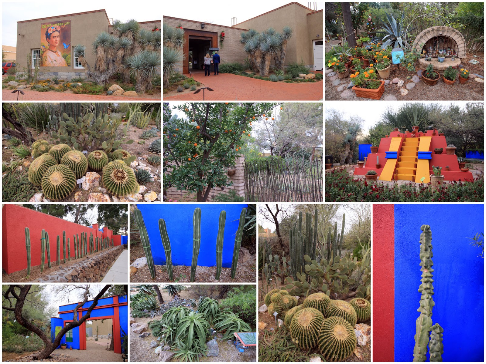 Arizona 2016 Day 2 Tucson Botanical Garden, DeGrazia Gallery in the