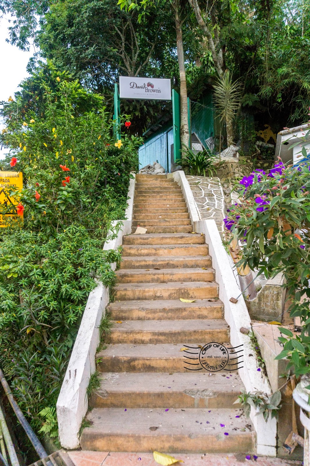 David Brown's Restaurant & Tea Terrace @ Penang Hill, Air Itam - Crisp