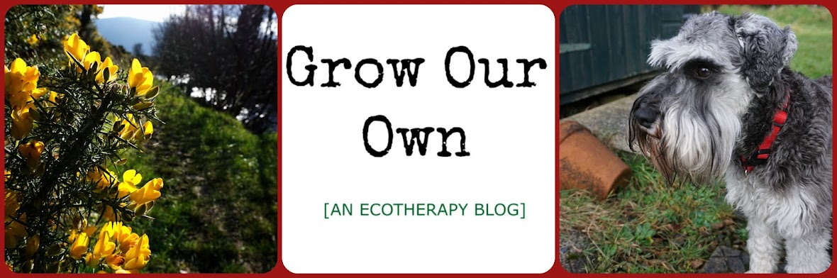 Grow Our Own ~ an ecotherapy blog